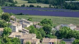 Les chemins de Haute Provence