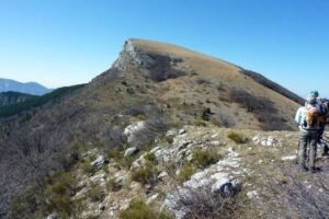 Les chemins de Haute Provence