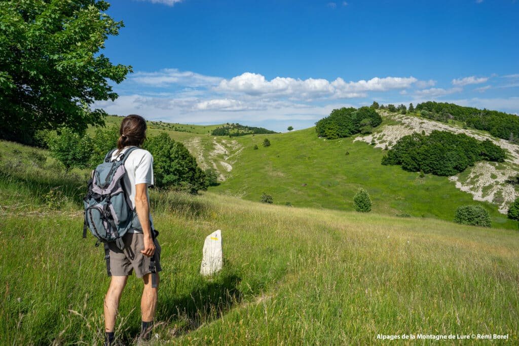 Les chemins de Haute Provence