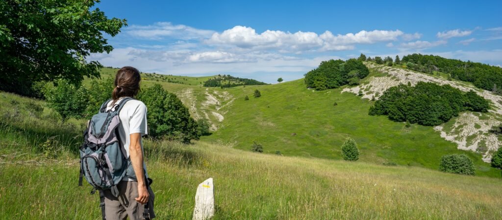Les chemins de traverse, côté Provence